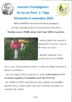 Journée Champignons