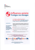 Influenza aviaire protégez vos élevages