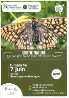 Le papillon blanc